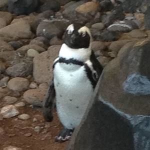 Meet your Posher, Brett